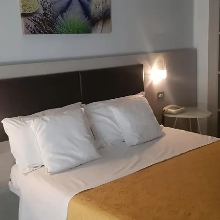 Hotel Monaco - Parcheggio E Piscina 3*